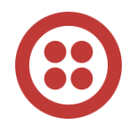 Twilio Voice
